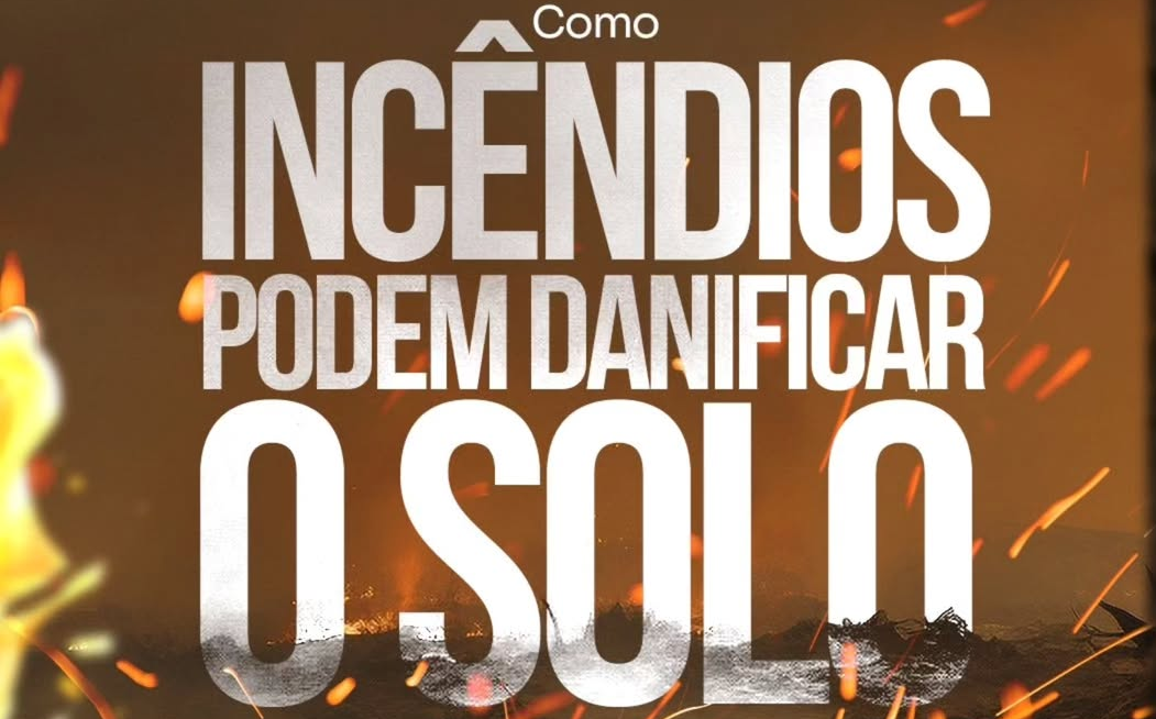 Campanha de prevenção a queimadas